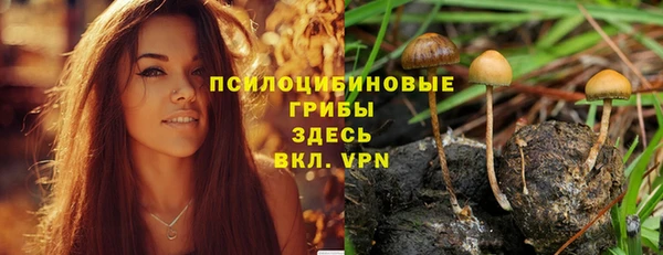 дмт Красноперекопск